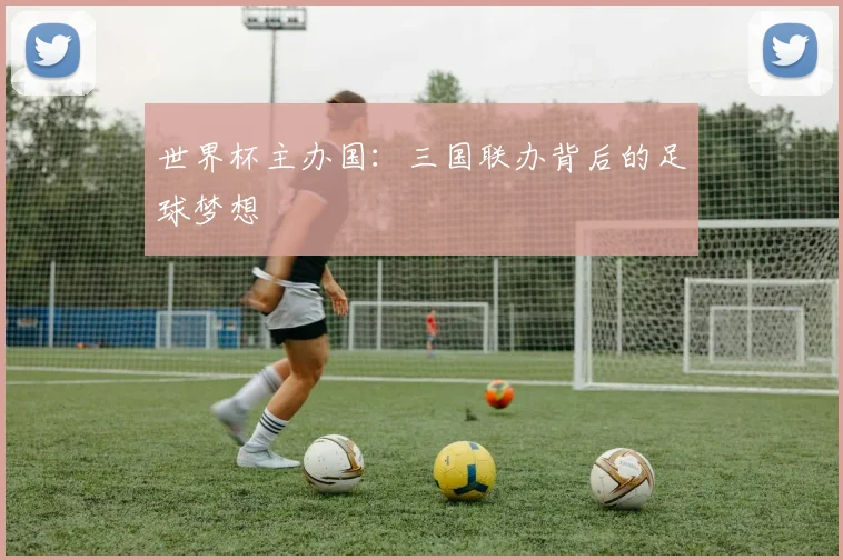 世界杯主办国：三国联办背后的足球梦想