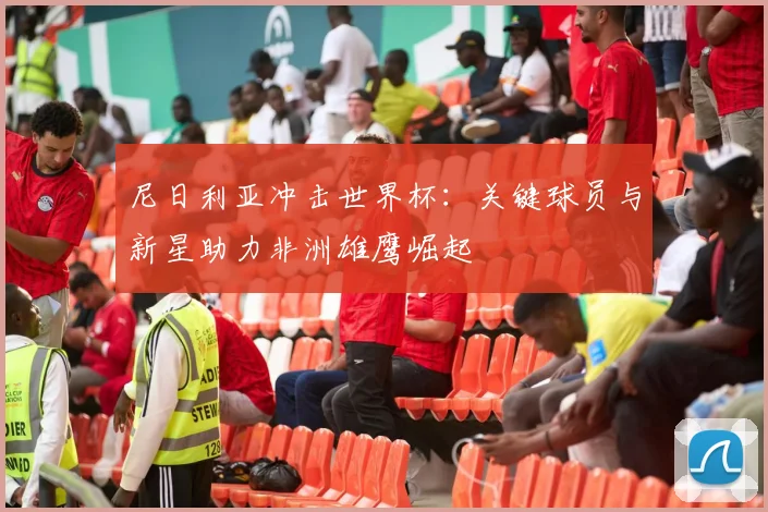 尼日利亚冲击世界杯：关键球员与新星助力非洲雄鹰崛起