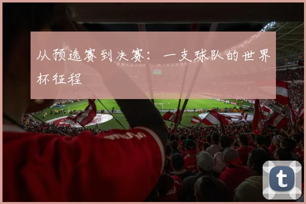 从预选赛到决赛：一支球队的世界杯征程
