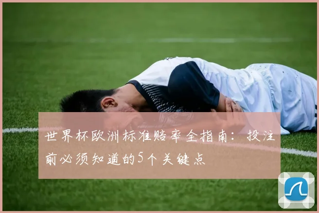 世界杯欧洲标准赔率全指南：投注前必须知道的5个关键点