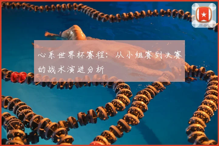 心系世界杯赛程：从小组赛到决赛的战术演进分析