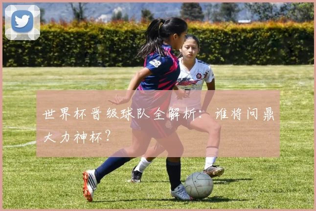 世界杯晋级球队全解析：谁将问鼎大力神杯？