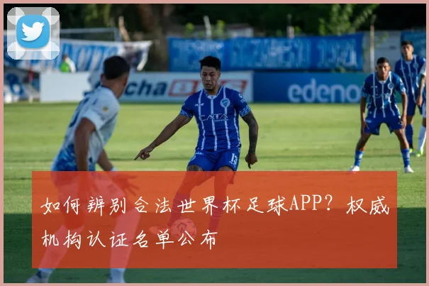 如何辨别合法世界杯足球APP?权威机构认证名单公布