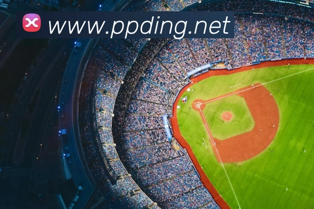 尼日利亚足球队历史战绩回顾：非洲雄狮的荣耀与挑战